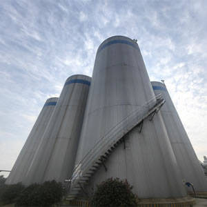 Intermediate Storage Tank Procurement Project
